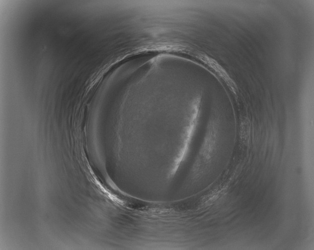 X0000083650577200702121152