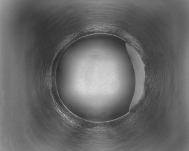 X0000083650578200702121152