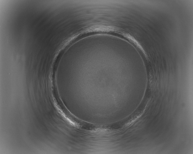 X0000083650581200702121152