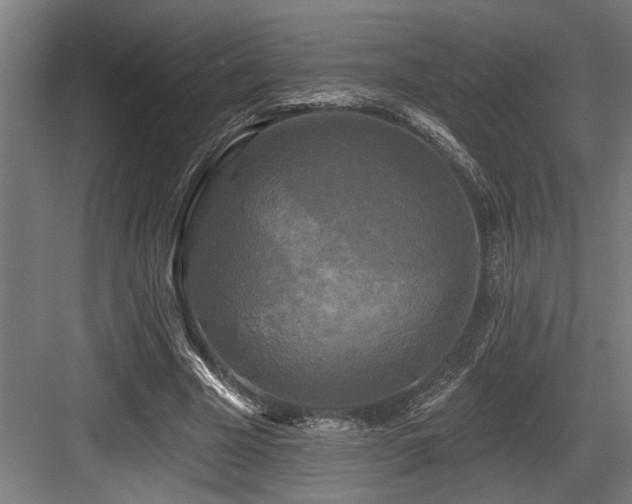X0000083650585200702121152