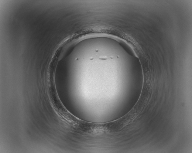 X0000083650587200702121152
