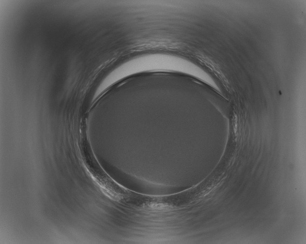 X0000083650590200702121152