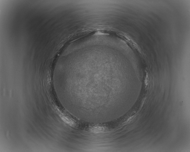 X0000083650593200702121152