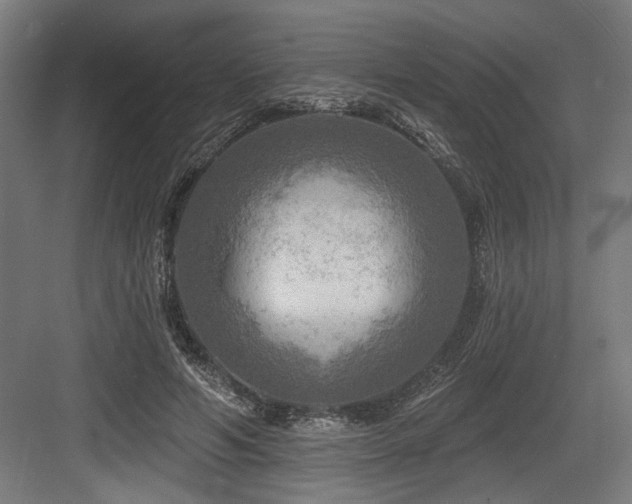 X0000083650594200702121152
