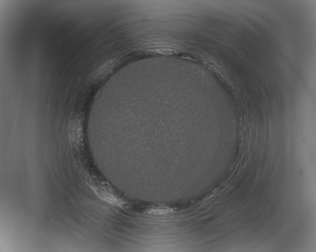 X0000083650595200702121152