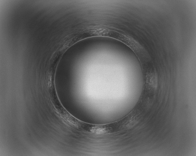 X0000083650602200702121152