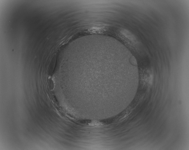 X0000083650603200702121152