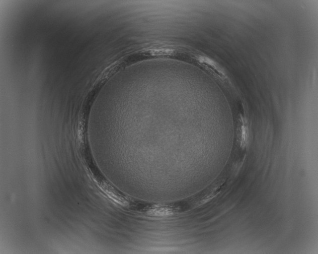 X0000083650604200702121152