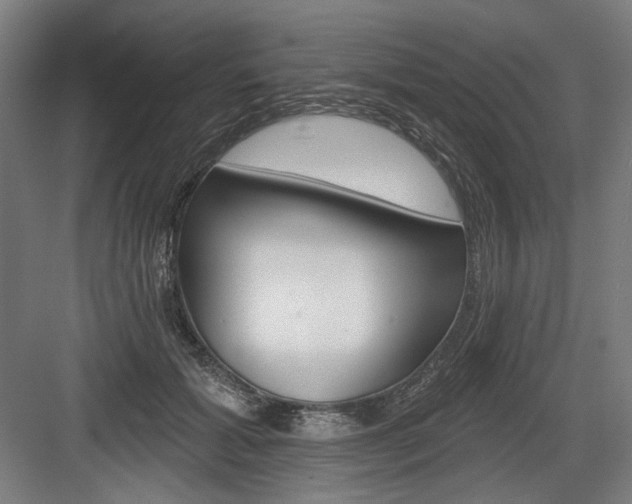 X0000083650605200702121152