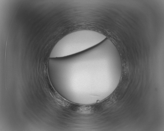 X0000083650606200702121152