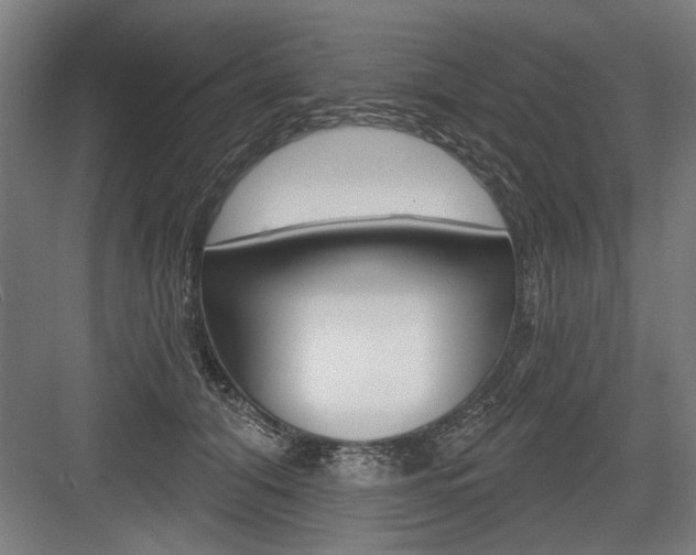 X0000083650608200702121152