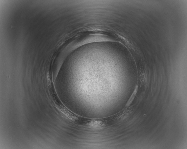 X0000083650609200702121152