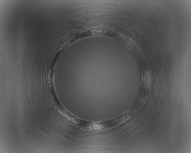 X0000083650610200702121152