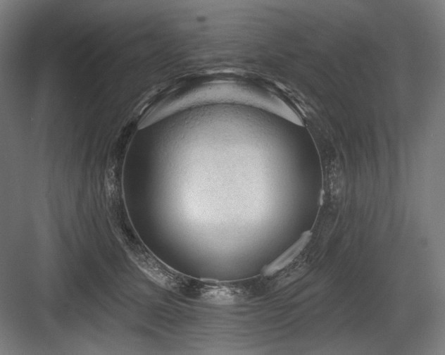 X0000083650611200702121152