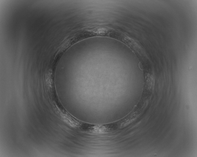 X0000083650612200702121152