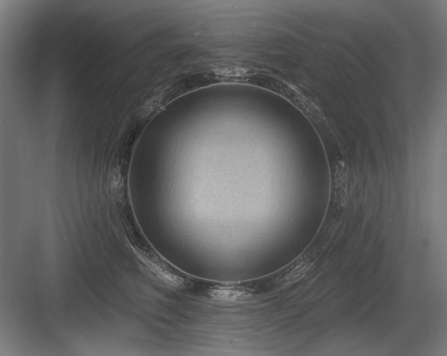 X0000083650614200702121152