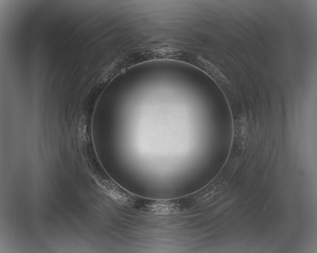 X0000083650615200702121152