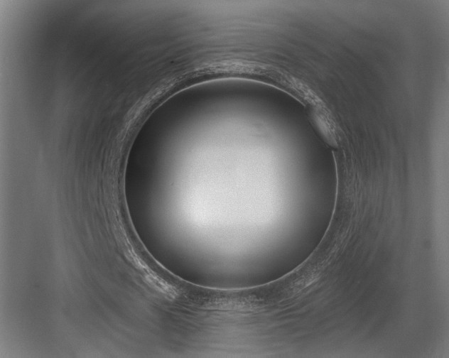 X0000083650625200702121151