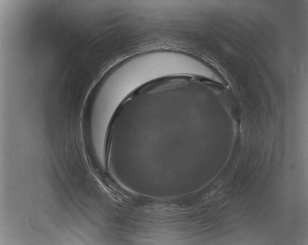 X0000083650626200702121151