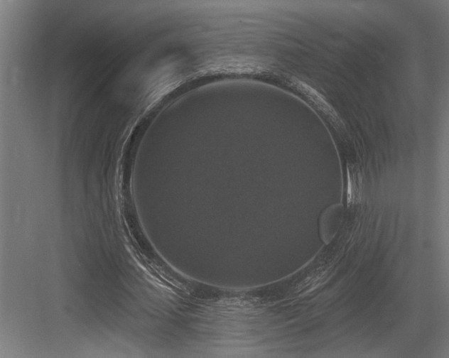 X0000083650627200702121151