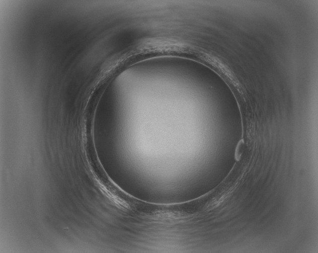 X0000083650629200702121151