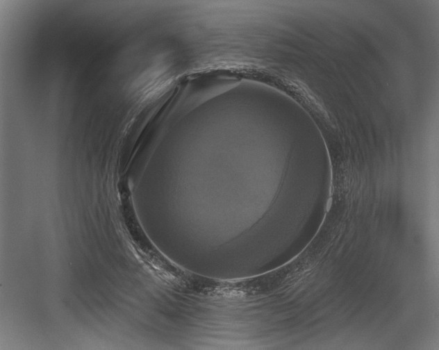 X0000083650640200702121151