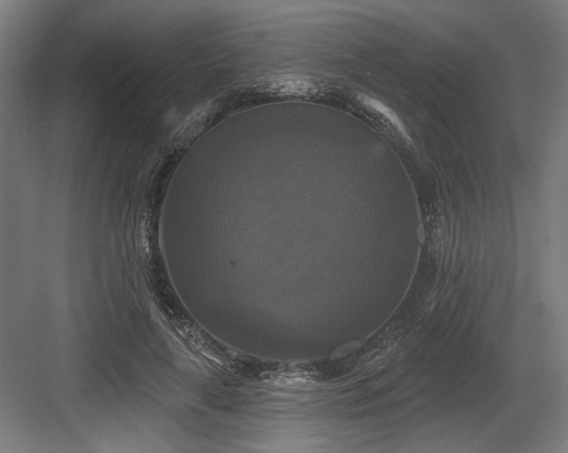 X0000083650643200702121151