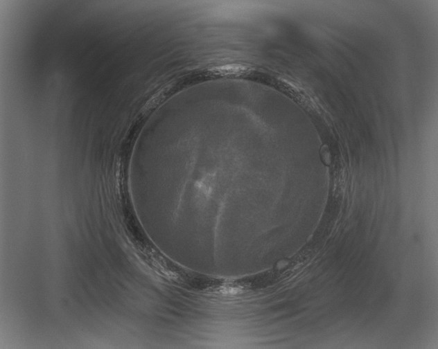 X0000083650647200702121151