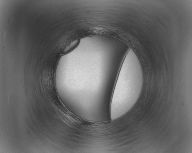 X0000083650653200702121151