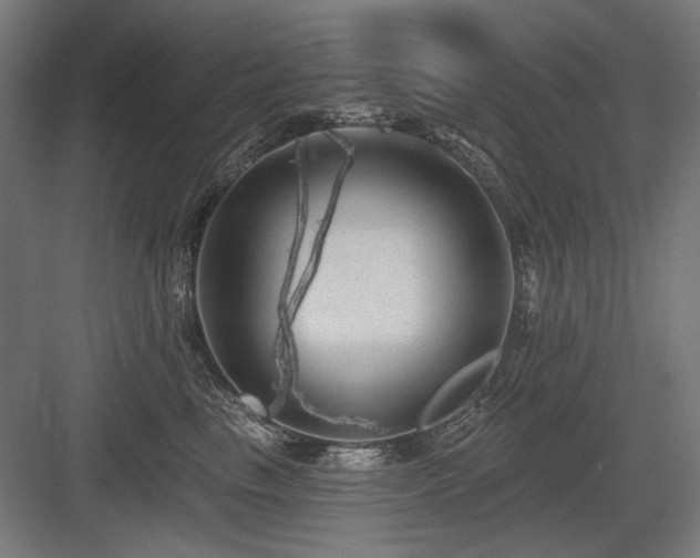 X0000083650665200702121151