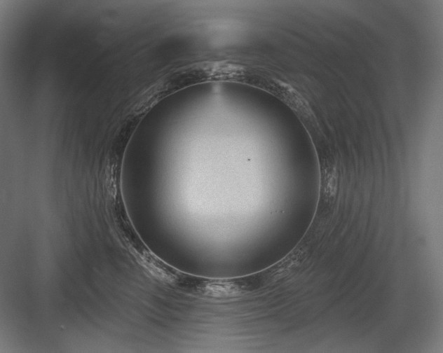 X0000083650666200702121151