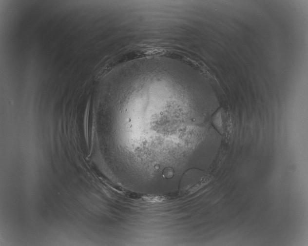 X0000083650667200702121151