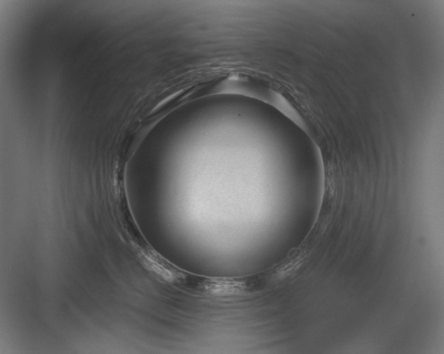 X0000083650670200702121151