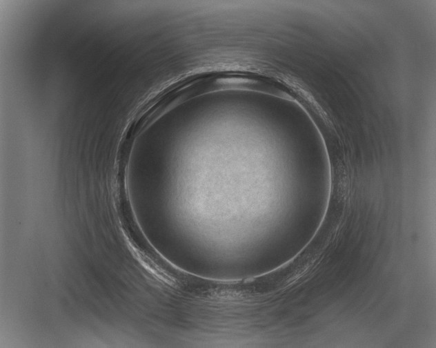 X0000083650677200702121150