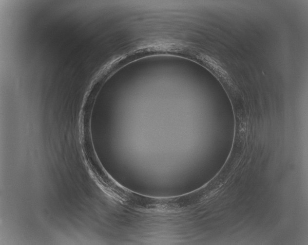 X0000083650678200702121150