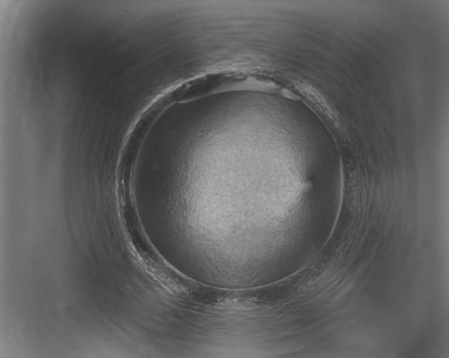 X0000083650680200702121150