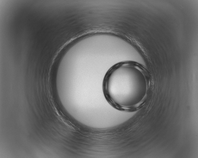 X0000083650684200702121150