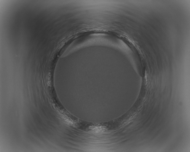 X0000083650689200702121150