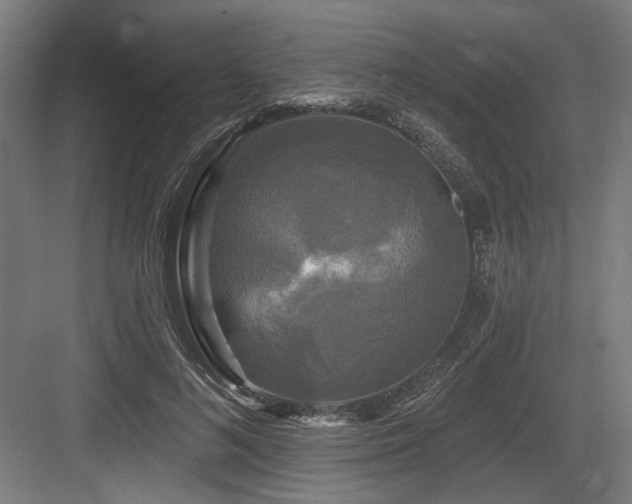 X0000083650692200702121150