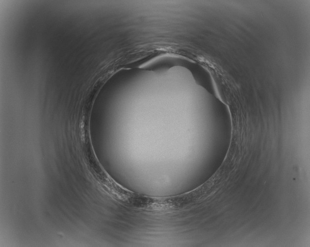 X0000083650696200702121150