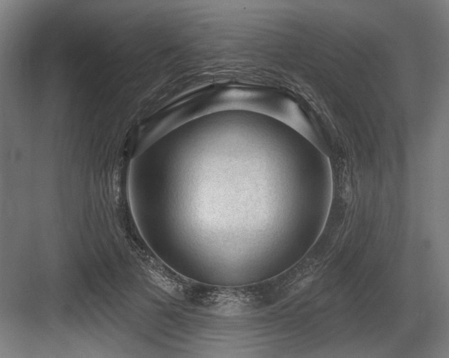 X0000083650697200702121150