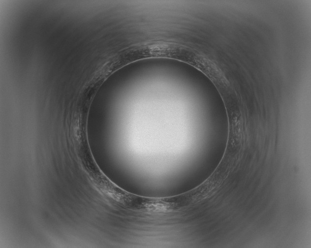 X0000083650698200702121150