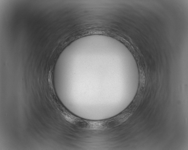 X0000083650701200702121150