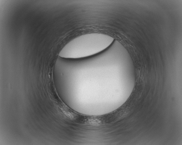 X0000083650702200702121150