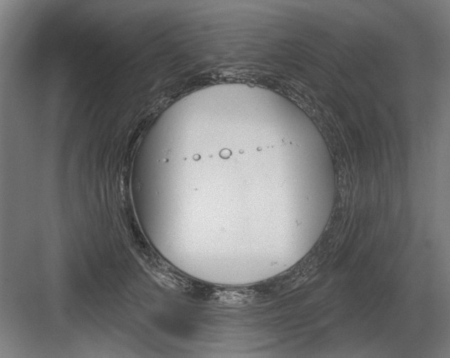 X0000083650703200702121150
