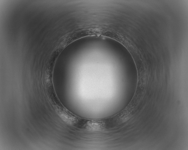 X0000083650706200702121150