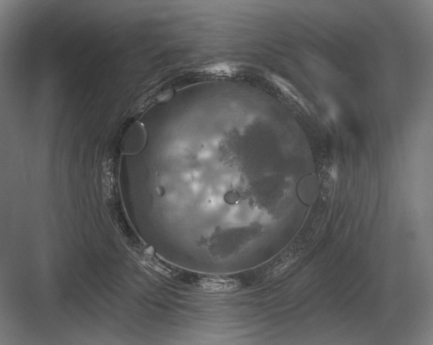 X0000083650707200702121150