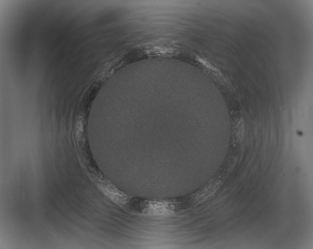 X0000083650709200702121150