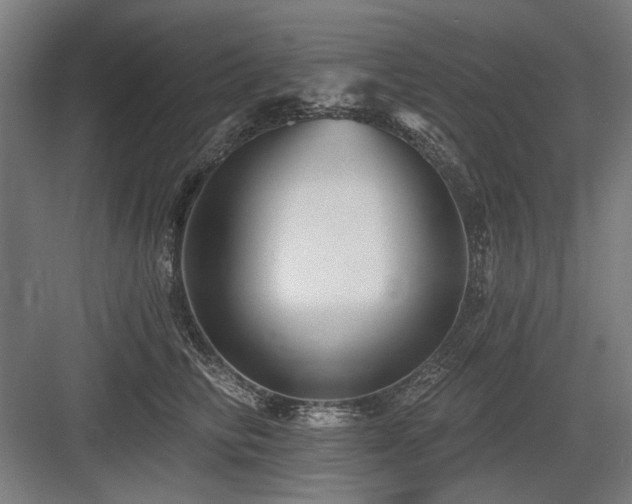 X0000083650710200702121150
