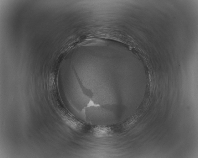 X0000083650711200702121150